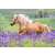 Kôň bežiaci v levanduľovom poli, obrázok puzzle