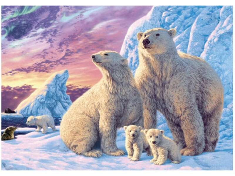 Dino - Jegesmedve Család - 1000 Darabos Puzzle