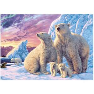 Polar Bear Family in the Arctic, 1000 piece puzzle - Dino Bikes