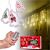 LED Christmas tree curtain lights with remote control and packaging in use
