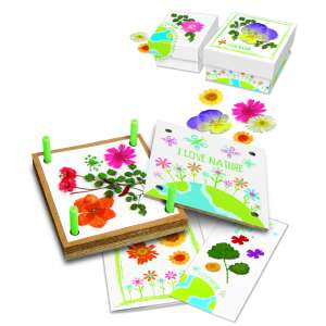 4M Kidz Labs Green Creativity Pressed Flower Art craft kit, includes flower press, cards, and boxes for making pressed flower crafts - Creative Toy