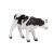 Mojo Holstein borjú álló figura 86103808