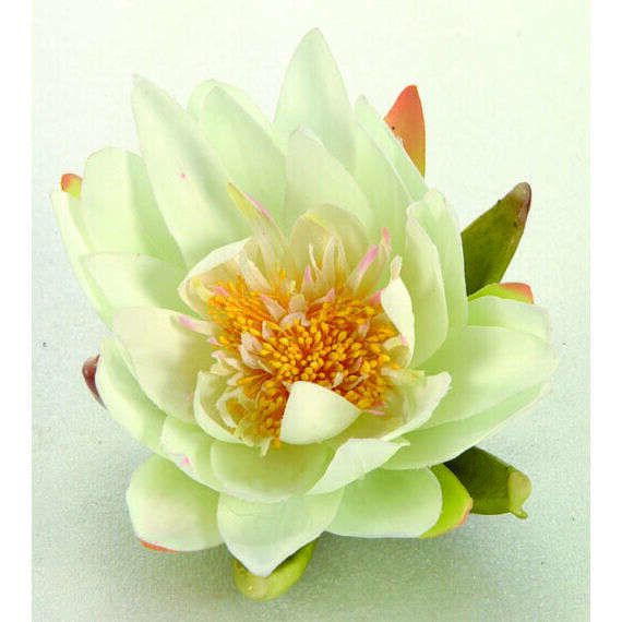 Ubbink selyemvirág, krémszínű tavirózsa,16 cm