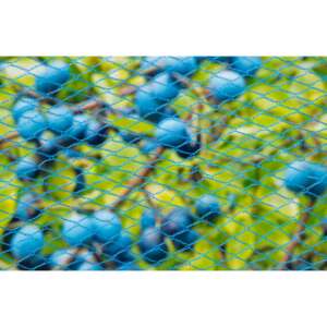 Bird net blue, 8x8mm, 5 x 4 m 22g/m2 /5pcs/carton 86309054 - Landscaping
