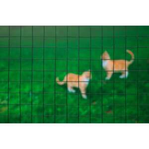 Plot z drôtu, 25mmx25mm, potiahnutý plastom, 50cmx2,50m /6ks/kartón 86309202 - Záhrada