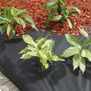 Black weed barrier fabric, 50g/m², used for weed control and moisture retention in gardens - Landscaping