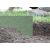 Lawn Edging 15cm/6m, Grey 86309686