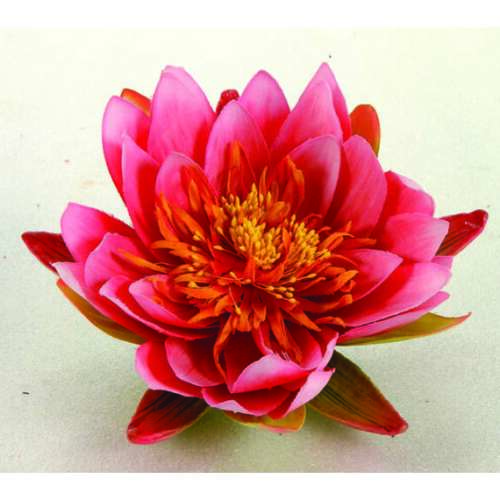 Ubbink Seidenblume, rosa Seerose 16 cm