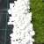 Agroszövet Fekete PPHA weed barrier fabric, black polypropylene fabric with green stripes, used in garden with white gravel