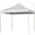 Timeless Tools Pavilion pliabil alb 2.9x2.9m, pavilion portabil