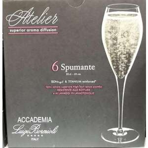 Pezsgős kristály pohár készlet 6*20 cl  Atelier  