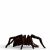 Schleich Wizarding World - Aragog-Figur 86815045