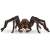 Schleich Wizarding World Aragog Figur, eine detaillierte und realistische Darstellung der riesigen Spinne aus der Harry Potter-Reihe