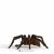 Schleich Wizarding World Aragog pók figura, részletes játék