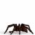 Schleich Wizarding World - Aragog figura 86815045