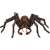 Schleich Wizarding World Aragog figure, a detailed and realistic representation of the giant spider from the Harry Potter series
