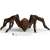 Schleich Wizarding World Aragog figure, a detailed and realistic representation of the giant spider from the Harry Potter series