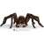 Schleich Wizarding World Aragog figure, a detailed and realistic representation of the giant spider from the Harry Potter series