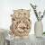 Robotime Rokr 3D wooden owl clock model kit on a table