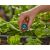 GARDENA Micro-Drip 6in1 Spray Nozzle - 2 pcs 87075751