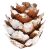 Springos white-tipped pine cone Christmas ornament