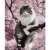 Paint by numbers kit, cat in a tree with pink flowers, finished product example