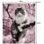 Dimensions of the Malleo paint by numbers kit, cat in a tree with pink flowers