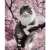Paint by numbers kit, cat in a tree with pink flowers, finished product example