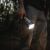 NEBO Davinci 18000 flashlight in use, illuminating dark forest