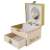 Open Ballerina musical jewelry box with drawer, featuring Felicie from the movie Ballerina, plays Swan Lake
