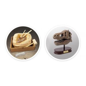 Buki T-Rex Dinosaur Skull Excavation Kit collage: excavation and display - Science & Discovery Toy