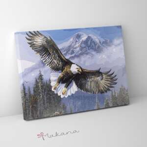 Makana - Repülő Sas Számfestő Készlet - 40x50 cm