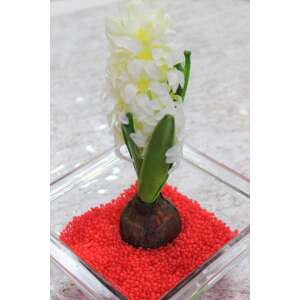 Piros dekoratív gyöngyök, 550g, vázák, tálak díszítéséhez és ékszerek készítéséhez - Dekorációs kő