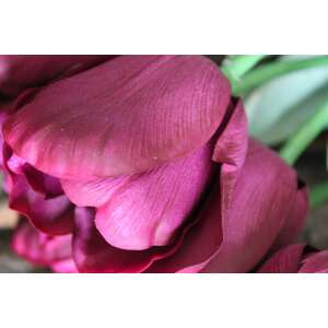 Lila mű tulipán levelekkel - 1 darab, 67cm 91735562 