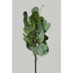 Zöld mű eukaliptusz 49cm 87775560 