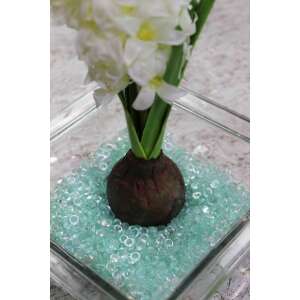 Fehér jácint virág üveg vázában dekoratív türkiz üveg gyöngyökkel - Dekorációs kő