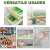 Original Deals green non-slip fridge shelf liners in various uses