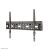 Uchwyt ścienny do telewizora NewStar LFD-W1640MP