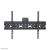 Uchwyt ścienny do telewizora NewStar LFD-W1640MP do ekranów 37-75 cali