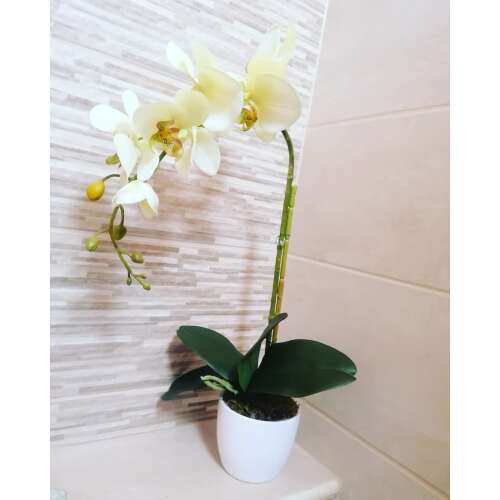 1 szálas kerámia kaspós orchidea dekor -zöld 33928462