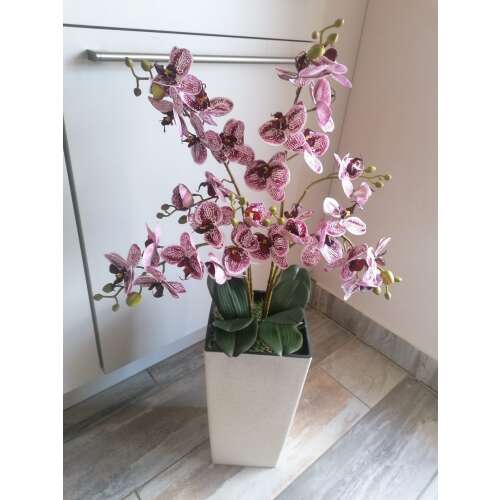 Lila csíkos orchidea -bézs kocka padlóvázás 34015987