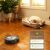 iRobot Roomba Combo j7+ Robot Vacuum and Mop cleaning around pet