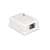 Delock Cat.6 modularer Wandsteckdose, weiß, RJ45-Stecker