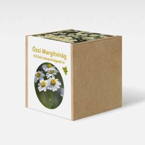 Őszi Margitvirág növény nevelő szett, magvakkal, cserepekkel és ültetőközeggel - Növénytermesztési kellék