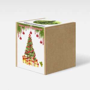 Karácsonyfa nevelő szett, koreai jegenyefenyő magvak, ültetőpohár, növekedési közeg, karácsonyfa ajándék ötlet - Növénytermesztési kellék