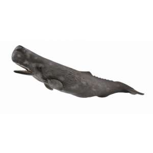 Collecta Sperm Whale Figure - Collecta