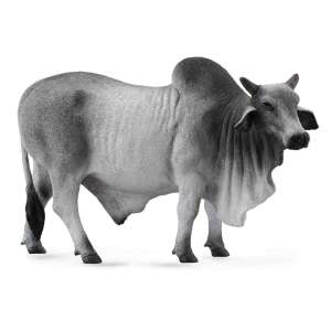 Collecta Brahman Bull figurine, grey and white, standing on a white background - Figure