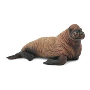 Collecta Walrus Figure, realistic animal figurine for kids and collectors - Collecta