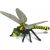 Dragonfly - Animal Figure 89696211