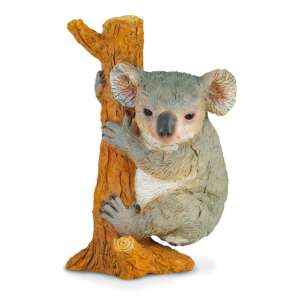 Collecta Koala figura, valósághű koala medve figurája, egy faágban ülve, állat játék gyerekeknek - Collecta